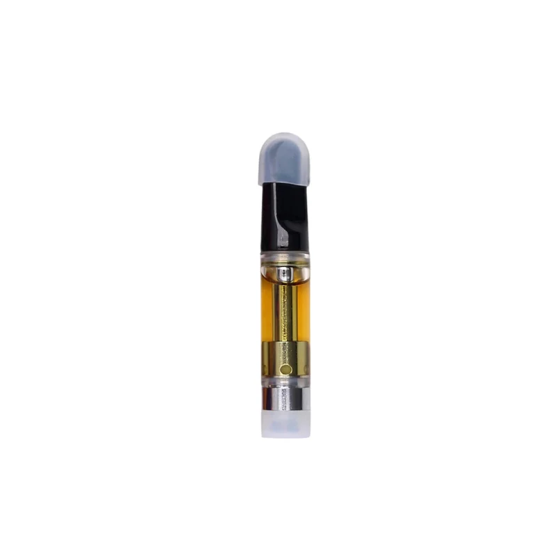 2026_06_15_743964